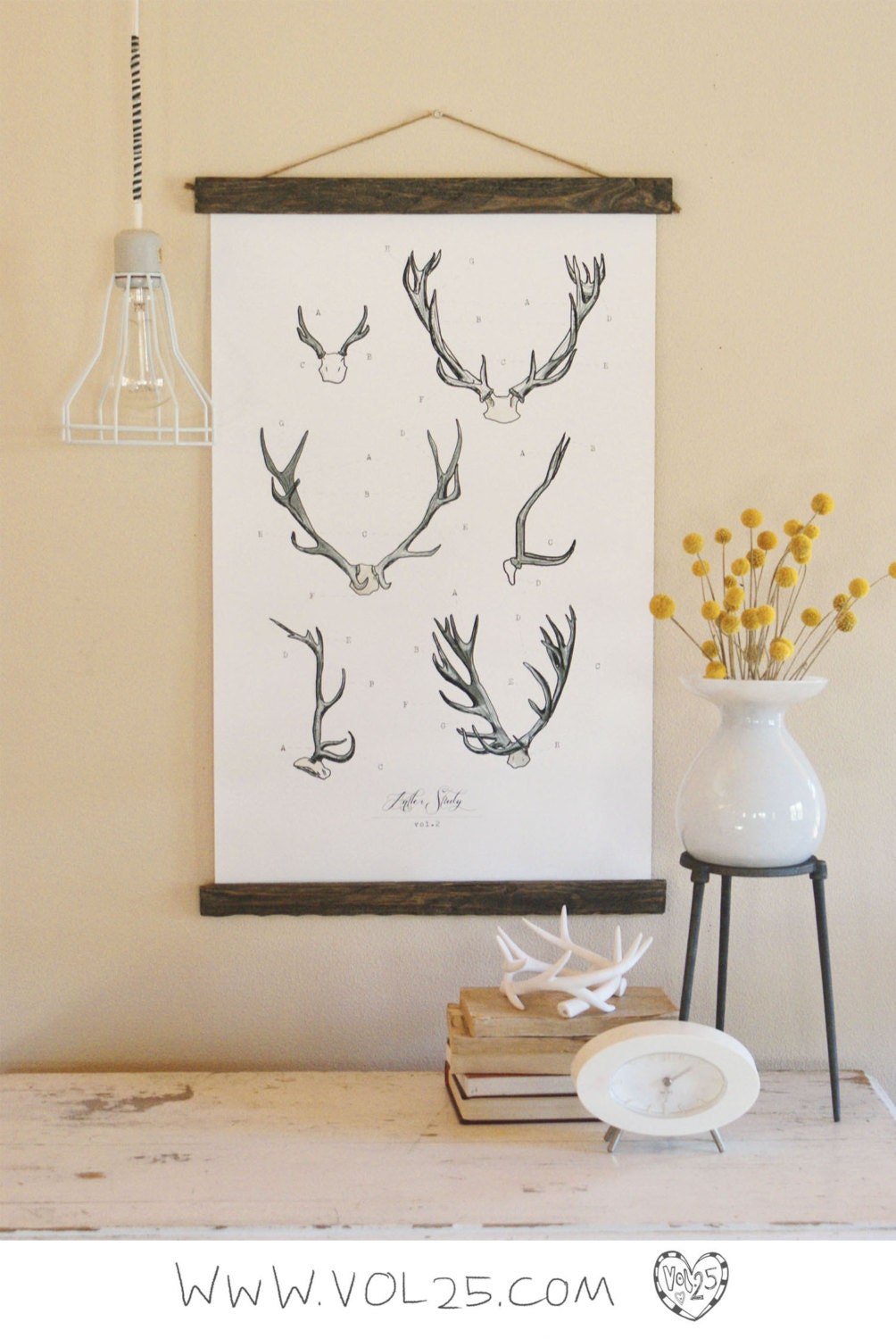 Vintage Inspired Science Posters - ANTLER STUDY VOL 2