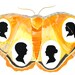 Custom Family Silhouette Portraits in Victorian Moth Setting