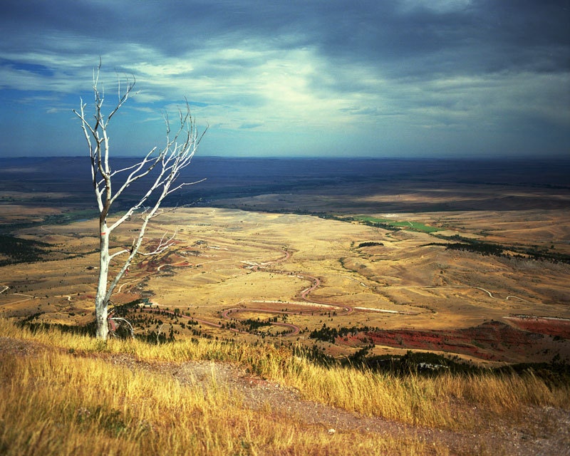Tree Over Sheridan Wyoming Valley, Pre Storm - 16x20 Signed Photograph, Gold