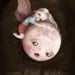 8X10 The Moth and the Moon - Lisa Falzon