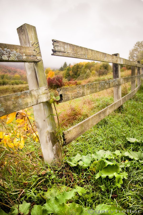 Broken Fence, Rustic, Autumn Landscape, Color Photograph, Free Shipping, Fine Art Photography Print.