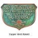 No Solicitors No Kidding Great Shield Shape with a little fun Pirate Skull and Cross Bones 10x7 inches