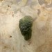 Moldavite crystal  - Crystal gem mineral - small specimen wire wrap jewelry stone - Raw natural genuine  Meteorite Tektite