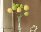 Wool Pom Pom Flowers, felt Craspedia Billy Button Ball Bloom Autumn home decor woodland yellow moss green housewarming gift