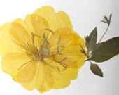 Pressed Flower Card Yellow Blank Greeting Card
