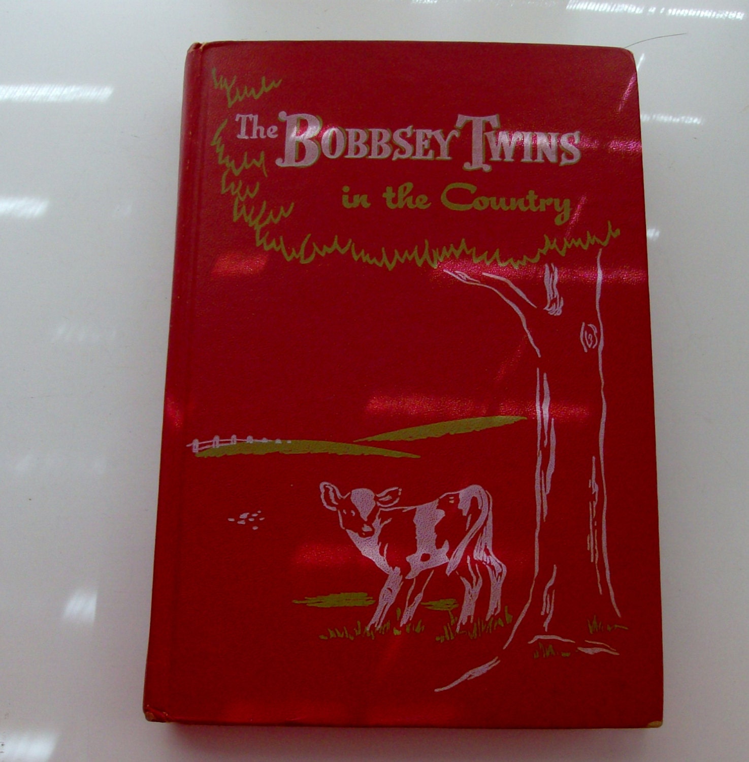 1950 Bobbsey Twins in the Country Children's Book