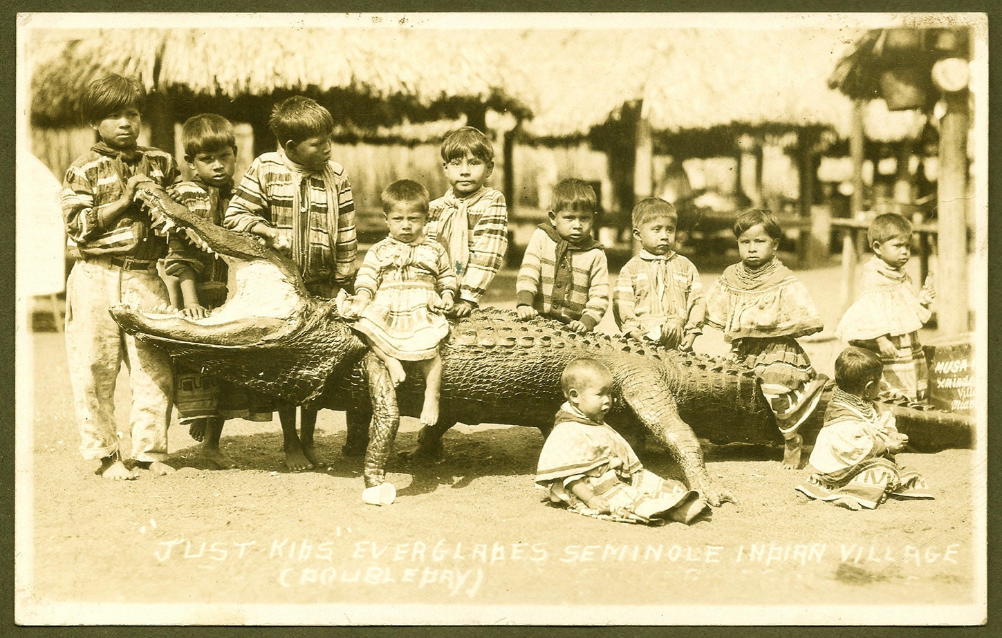 Seminole Indian Children Riding Alligator RPPC