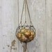 Hanging Wire Basket With Macrame Hanger