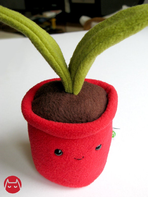 Plant - red pot