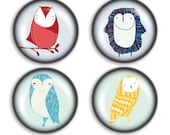 Owl Magnet Set