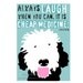 Portuguese Water Dog Art Print Wall Decor Cheap Medicine
