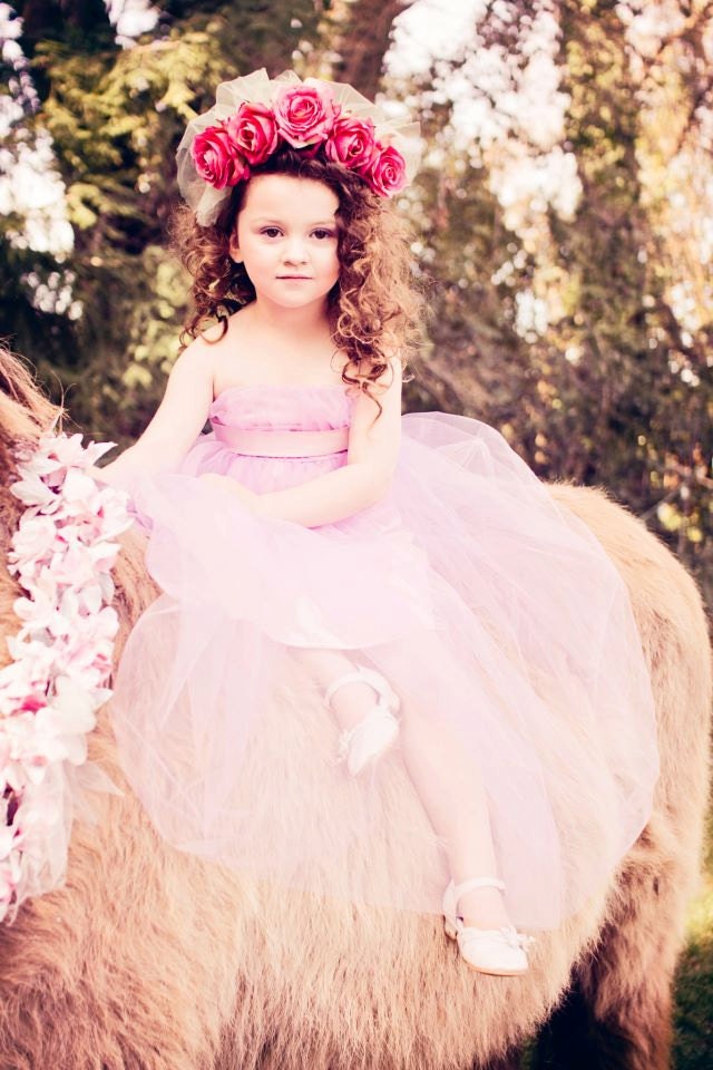 The Rose Crown Flowercrown Headband in Pink with Mint Green Tulle Made to Order Flowergirl