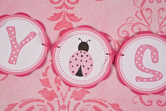 Ladybug BABY SHOWER Banner - Ladybug Baby Shower Decorations in Hot & Light Pink Il_570xn