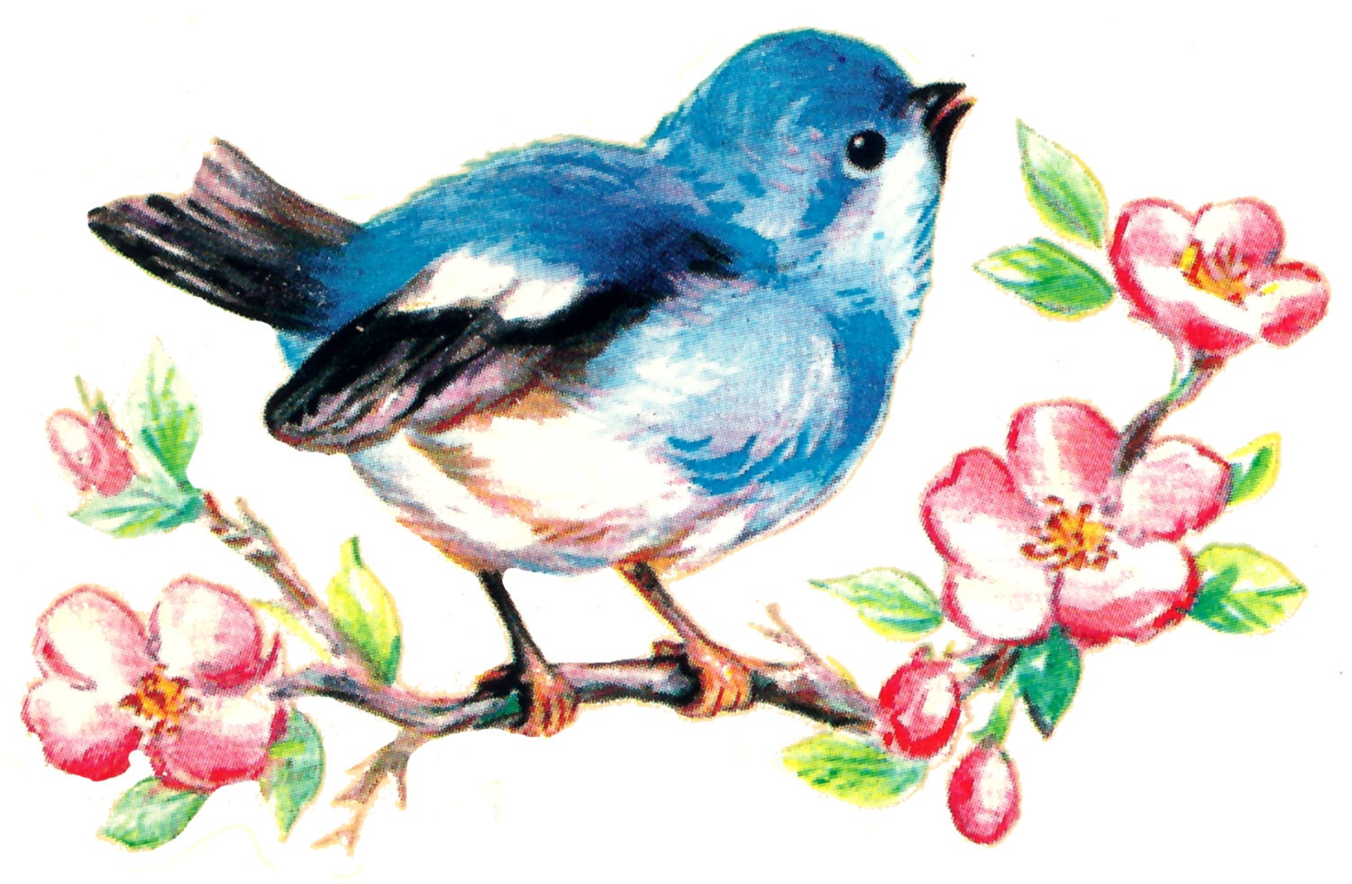 16 Vintage Style Bluebirds and Blossoms Waterslide Decals