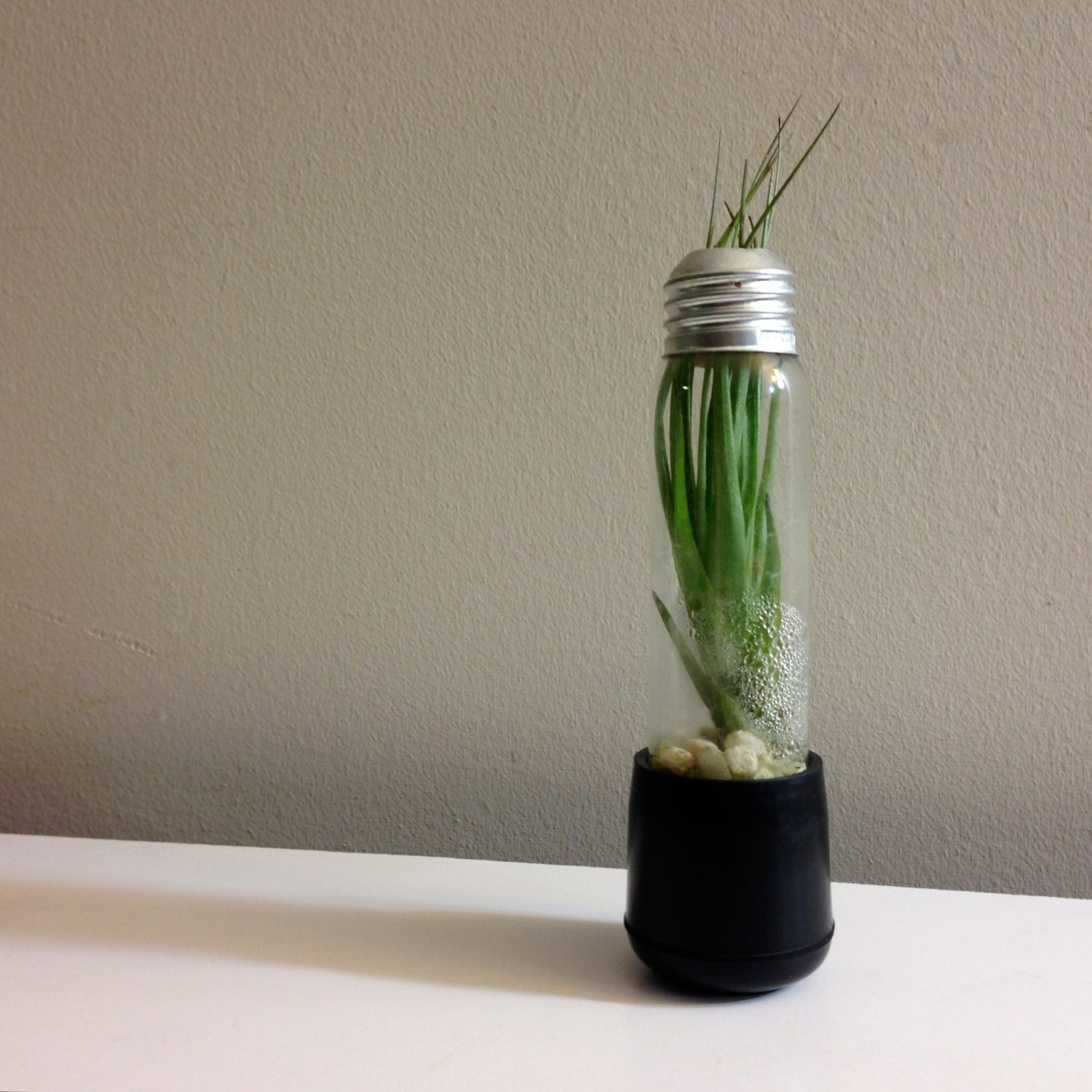 Repurposed Lightbulb Vase (desk lamp lightbulb)
