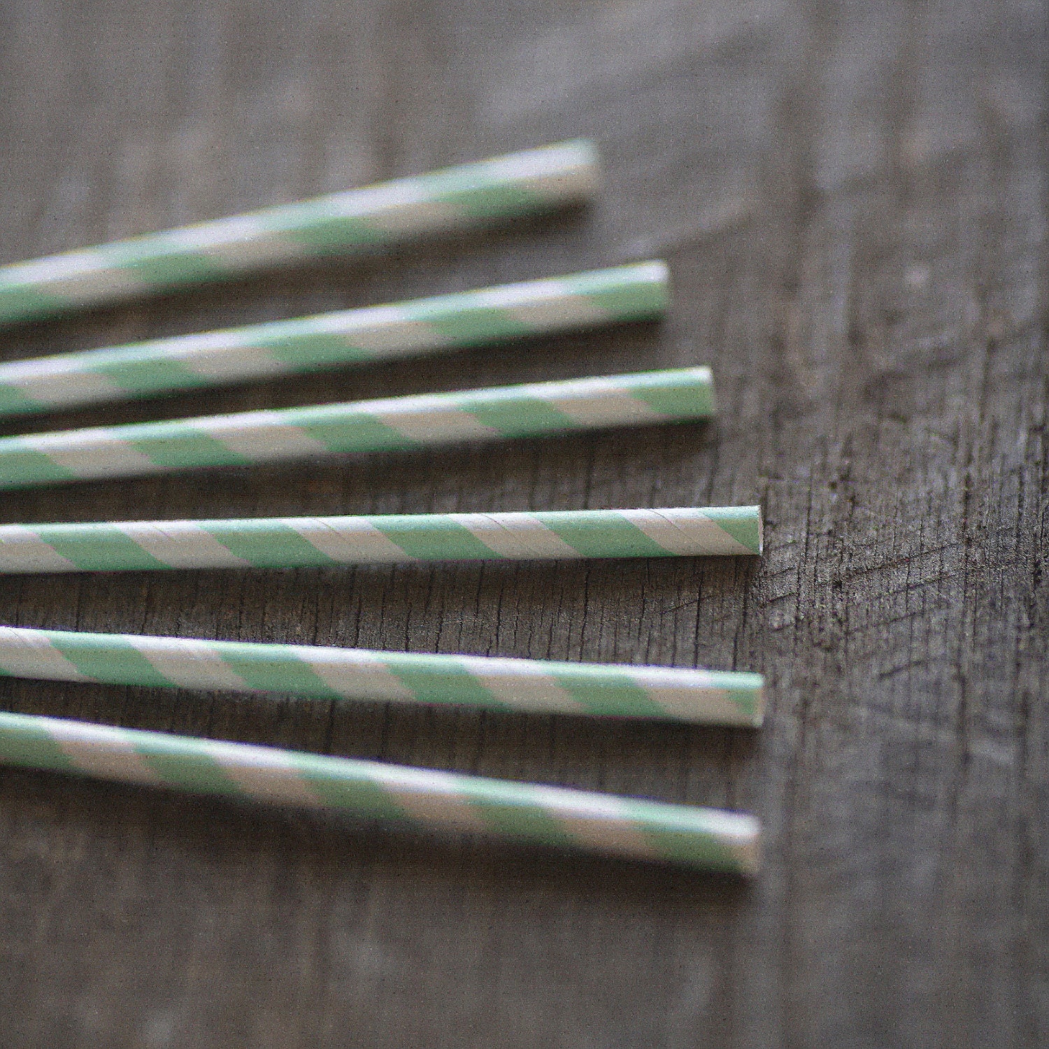 Modern Mint- Paper Straws- Set of 12