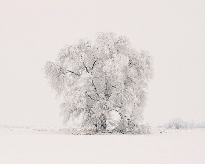 Dreamy Winter Landscape Photograph, Monochromatic White Nature Art, Snowy Winter Scene