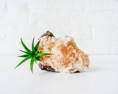Air Plant Crystal Garden -  Pink Stillbite India Mineral Cluster with Air Plant