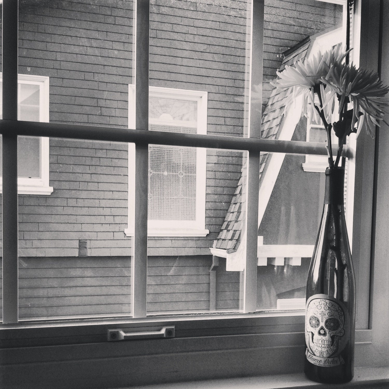 WINE FLOWERS 4x4 Art Photo Print / Black & White