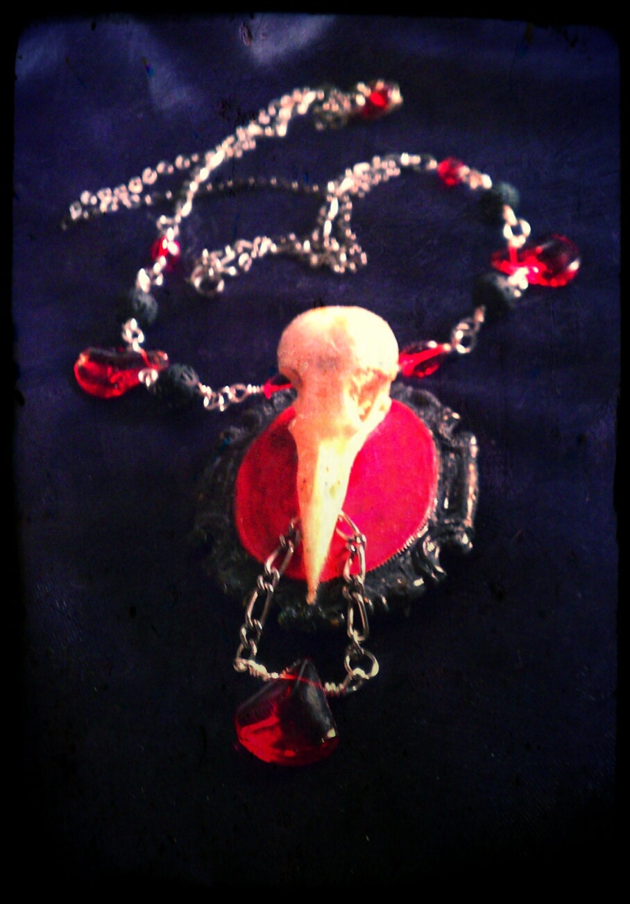 Dark Days Victorian Gothic Skull Choker/ Free Coffin Gift Box/ Victorian Gothic Taxidermy Jewelry