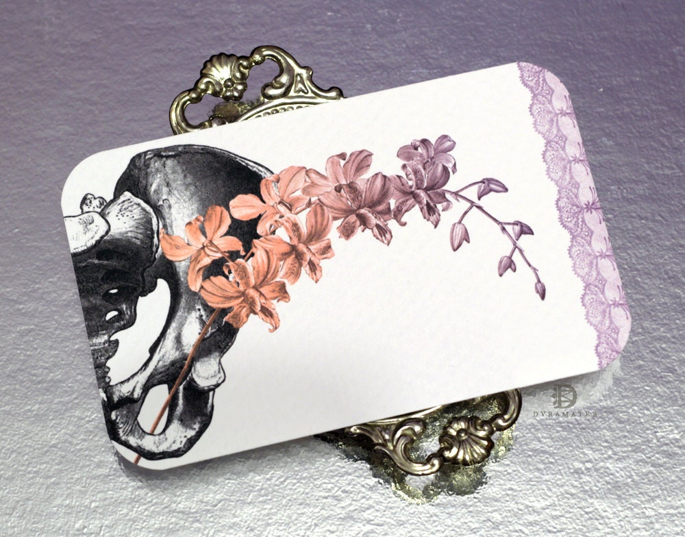 The Botanical Ossuary III (6 flat cards and envelopes)