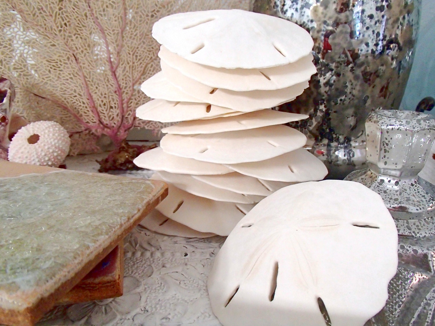 Beach Decor, Shell Decor, Beach Wedding Shells - Large Sand Dollars 3"-3.5", Set of 12