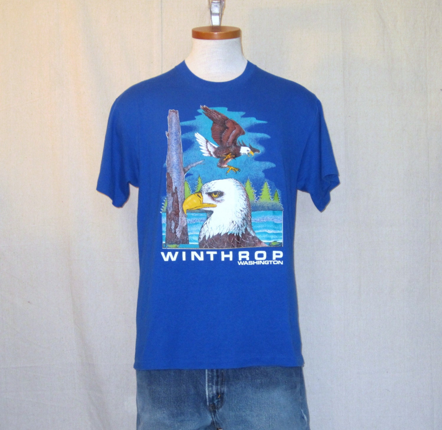 Vintage Epic 80s EAGLE NATURE GRAPHIC Washington State Outdoors Bird Medium 50/50 T-Shirt