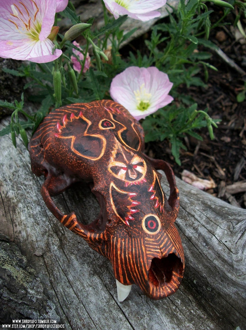 Primitive Painted Badger Skull