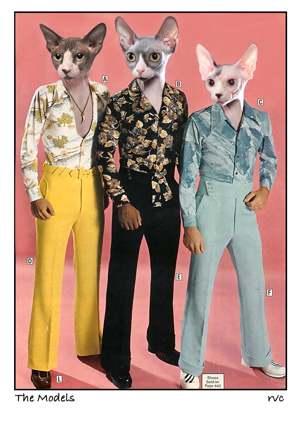 Cat, photo collage, nature photography, mixed media collage, sphynx cats, fashion photography, mod, funny, cat lover, for her, for him