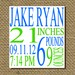 Custom Birth Stats Print 8x10 - YOU PICK COLORS - Perfect Gift For A New Mom