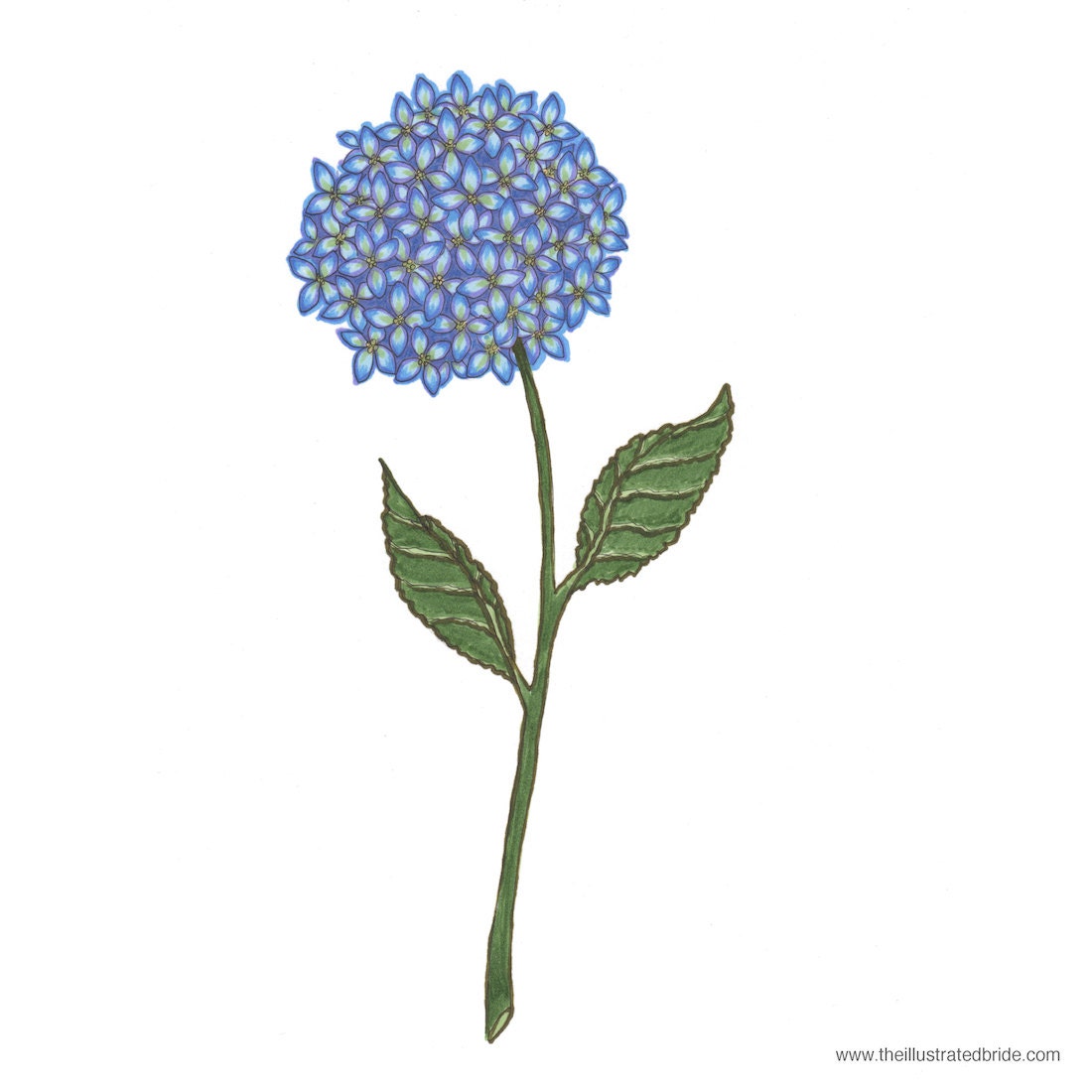 Bouquet or Flower Illustration - Custom Portrait - 8.5 x 11"