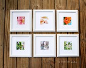 Nature Photography Print Framed - CHOOSE ONE - Fine Art Print