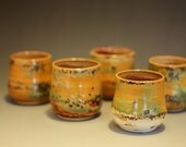 earth cup