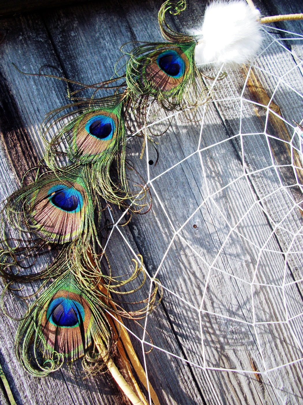 Large 19 Inch Peacock Dream Catcher
