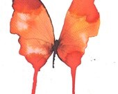 three tone orange and red butterfly. original watercolour painting