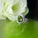 Olive Tourmaline Ring Rare Sterling Silver White Topaz Halo One of a Kind