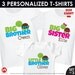 Turtle Big Sister Shirt, Turtle Big Brother Shirt, Turtle Little Brother Shirt - 3 Personalized Sibling Shirts