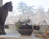 NEW Terra Terrarium Planter Kit -- geodesic glass terrarium -- stained glass - copper or silver -- eco friendly