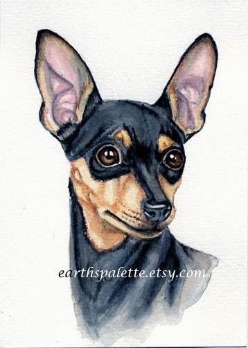Dog painting miniature pinscher 5x8 print from original watercolor painting pet dog portraits earthspalette