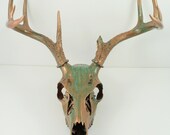 Deer Skull Taxidermy with Antlers Copper Natural Aqua Patina Painted Art Sculpture