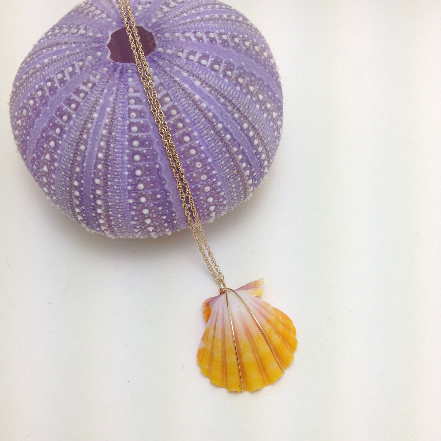 Sunrise Shell 14kt Gold Necklace