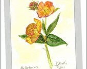 Lentin Rose "HELLEBORUS" - print - Original Watercolor Painting by Jamie Dauch Michigan artist - Modern Vintage Home decor - Botanicals