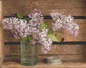 Photograph, Fine Art Print, Rustic Wall Decor, Still Life Photography, Lilacs, Cottage Chic