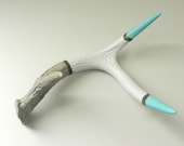 painted antler - naturally shed deer antler - aqua - white - grey