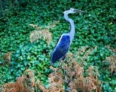 Great Blue Heron Sculpture