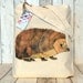 Hedgehog Illustration Cotton Tote Bag
