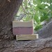Pina Colada Soap / Cold Process / Handmade