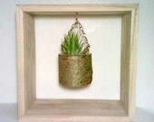Hanging Terrarium, Shadow Box Picture Frame,  Rustic Picture Frame, Succulent Planter, Air Plant Holder