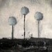 Beautiful Black and Grey Tree Painting. Art for Home Decor. Unique  Gift.  Whimsical . Minimalist. OOAK Gift. Tree Painting 245