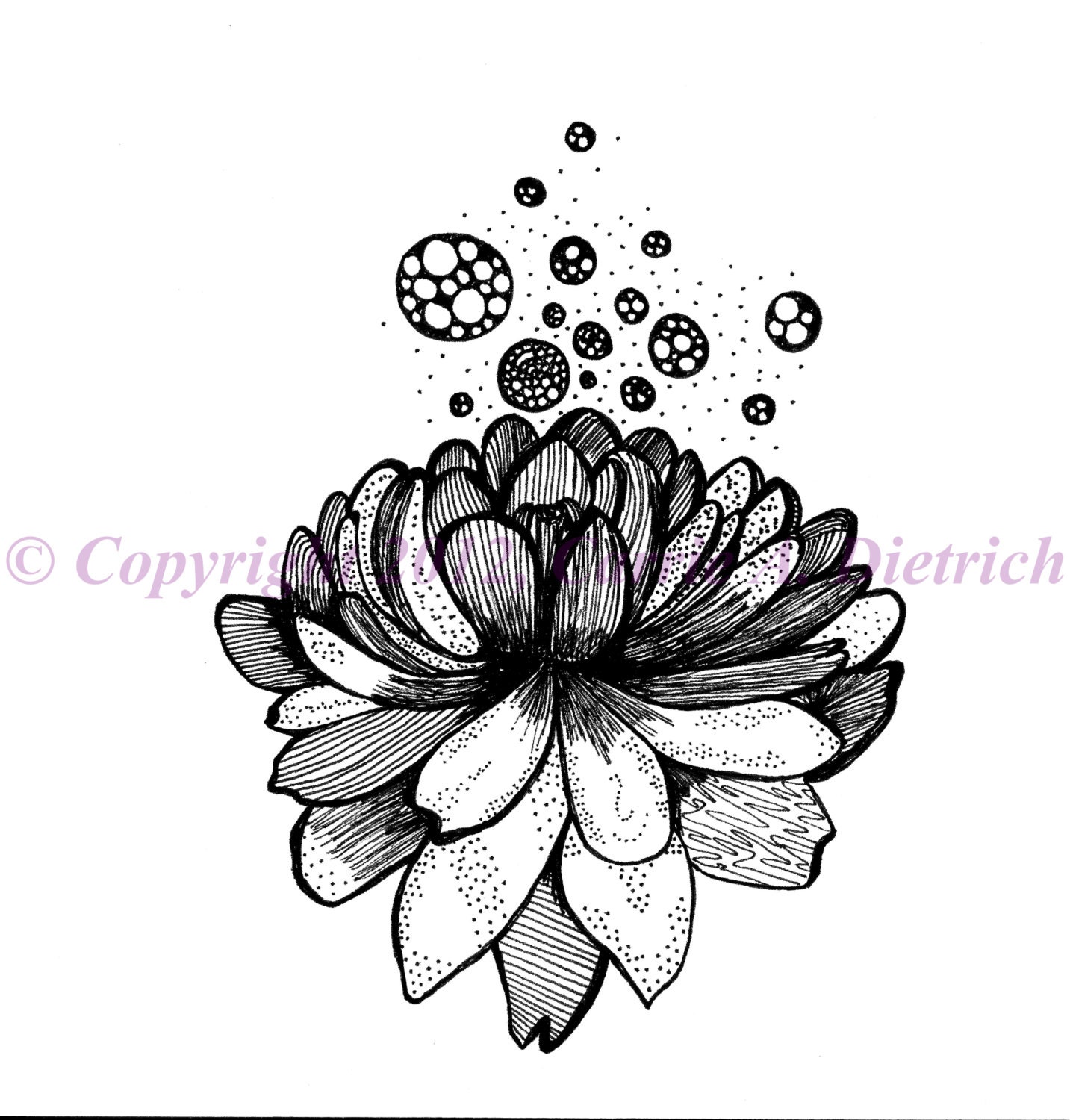 Black and White Art Pen and Ink Lotus Flower Design Illustration Signed 5 x 7  Wall Art Print Home Decor Design Drawing